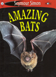 Image for Amazing Bats