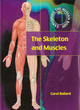 Image for The Skeleton and Muscles