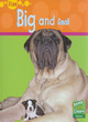 Image for Read and Learn: Sizes: Big and Little