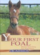 Image for Your first foal  : horse breeding for beginners