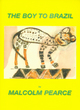 Image for The boy to Brazil
