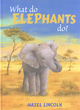 Image for What Do Elephants Do?