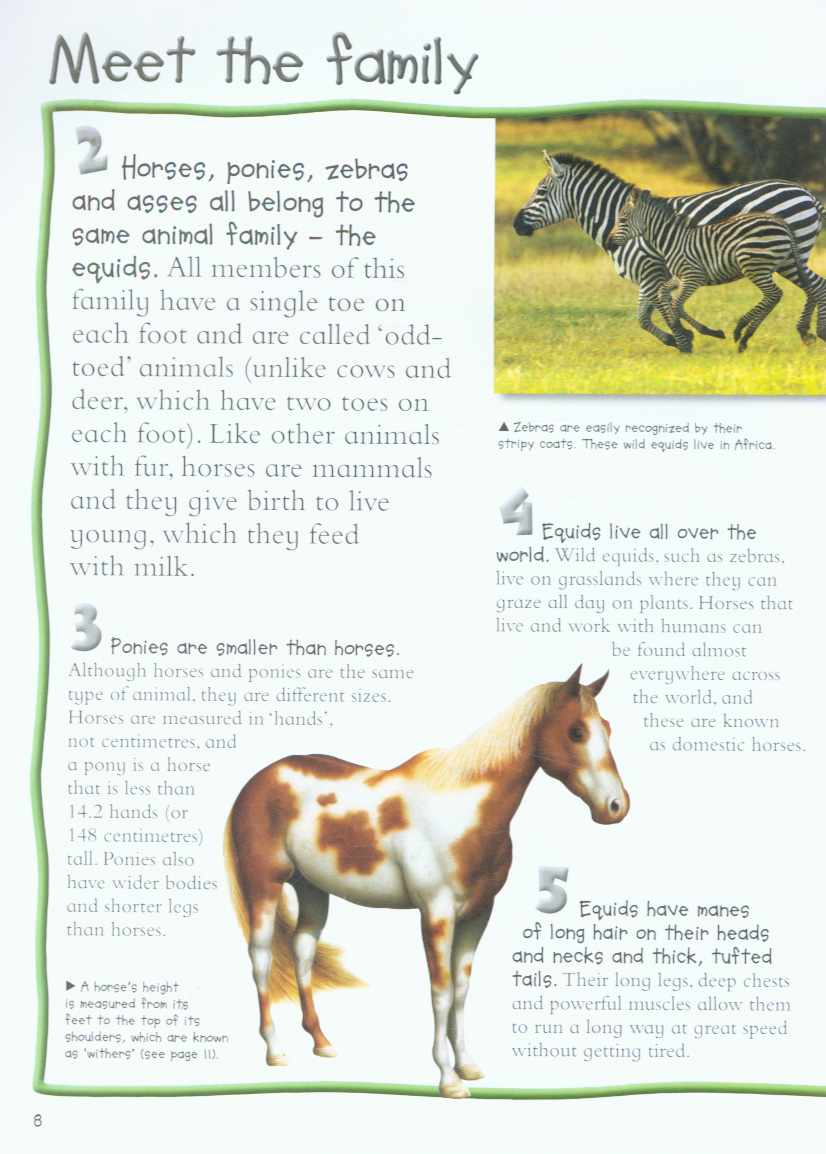 100 Things You Should Know About Horses and Ponies by Bedoyere, Camilla ...