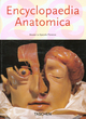 Image for Encyclopaedia anatomica  : a collection of anatomical waxes
