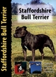 Image for Staffordshire bull terrier