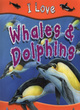 Image for I love whales &amp; dolphins