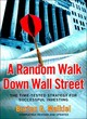 Image for A random walk down Wall Street  : the time-tested strategy for successful investing