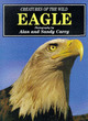 Image for Eagle : Eagle