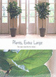Image for Plants, extra large  : decorative plants for the interior -