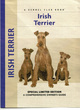 Image for Irish Terrier