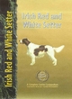 Image for Irish Red and White Setter