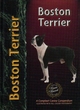 Image for Boston Terrier