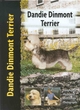 Image for Pet Love Dandie Dinmont Terrier