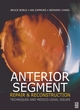 Image for Anterior segment repair and reconstruction  : techniques and medico-legal issues