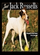 Image for Just Jack Russells