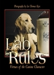 Image for Lab Rules