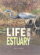 Image for Life in an estuary