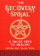 Image for The recovery spiral  : a Pagan path to healing