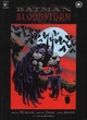 Image for Batman  : bloodstorm
