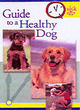 Image for Quick and Easy Guide to a Healthy Dog