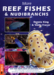 Image for More Reef Fishes &amp; Nudibranchs