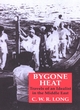 Image for Bygone heat  : travels of an idealist in the Middle East