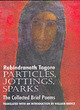 Image for Particles, jottings, sparks  : the collected brief poems