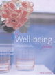 Image for The wellbeing plan  : a practical guide to making the most of every day