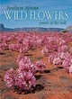 Image for Southern African Wild Flowers