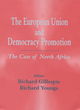 Image for The European Union and democracy promotion  : the case of North Africa