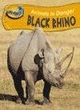 Image for Take Off:Animals in Danger Black Rhino