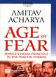 Image for The Age of Fear