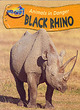 Image for Take Off:Animals In Danger: Black Rhino Paperback