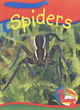 Image for Little Nippers: Creepy Creatures Spiders