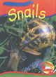 Image for Little Nippers: Creepy Creatures Snails