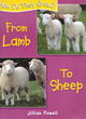 Image for How Do They Grow: Lamb To Sheep
