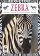 Image for Zebra  : habitats, life cycles, food chains, threats