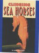 Image for Clinging Sea Horses