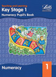 Image for Numeracy pupil&#39;s bookYear 1 : Numeracy