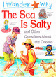 Image for I wonder why the sea is salty and other questions about the oceans