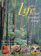 Image for Life in the tall eucalypt forests
