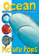 Image for Ocean Picture Pops