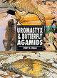 Image for Uromastyx and Butterfly Agamids