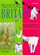 Image for Prehistoric Britain  : activity book