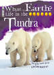 Image for Life in the Tundra