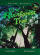 Image for Up a rainforest tree big book