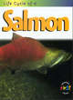 Image for Life cycle of a salmon