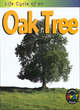 Image for Oak Tree