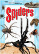 Image for The secret world of spiders
