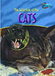 Image for Raintree Perspectives: The Wild Side of Pets: Cats Hardback
